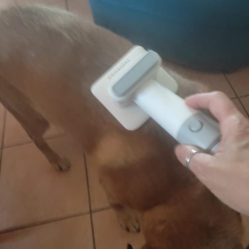 51qNeaJ92gL 51qNeaJ92gL