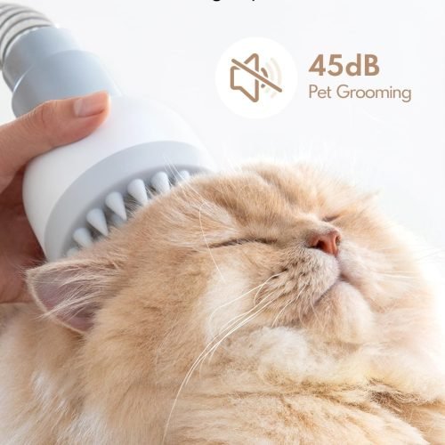 71AV+IjxVWL._AC_SL1500_