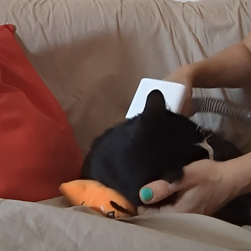 Screenshot 2025-11-08 142343 Screenshot 2025-11-08 142343